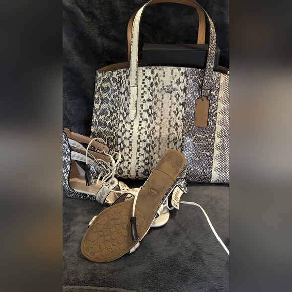 Women's Coach snakeskin straply sandals and snakeskin purse - Picture 1 of 11